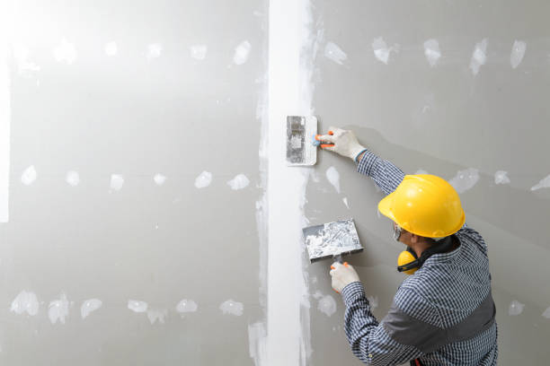Best Attic Mold Removal  in Lancaster, KY