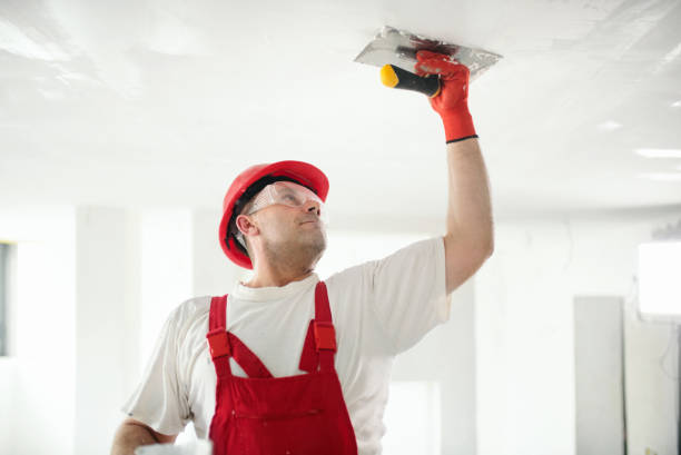 Lancaster, KY Mold Removal Company